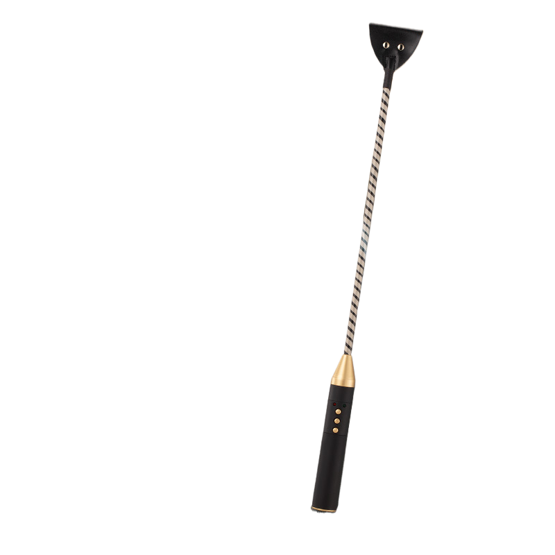 Adult sex toy electric shock rod