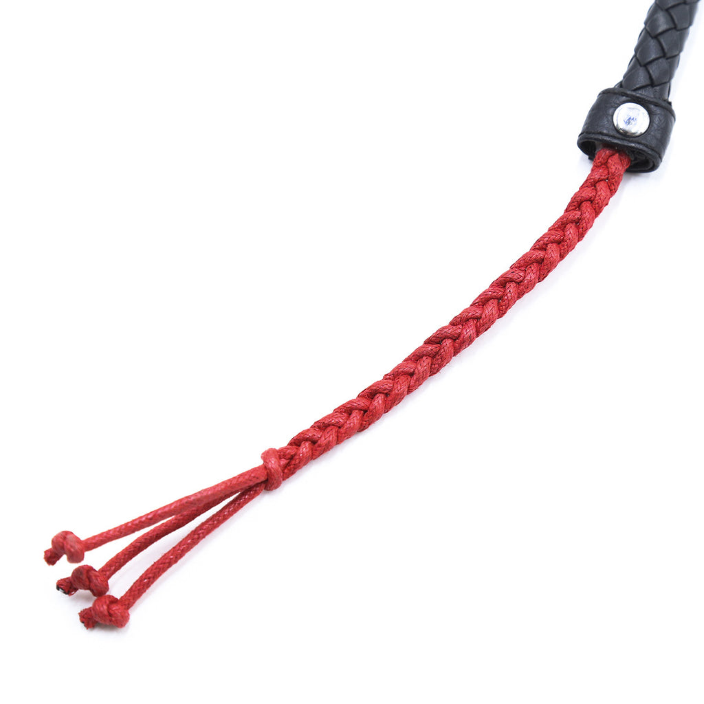 Sex Toy Whip Stage
